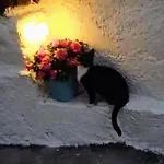 Casa Laura Y Pancho Σπίτι διακοπών *