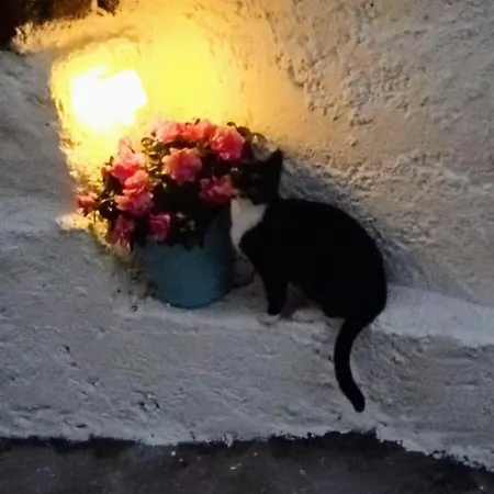 Casa Laura Y Pancho Сasa de vacaciones *